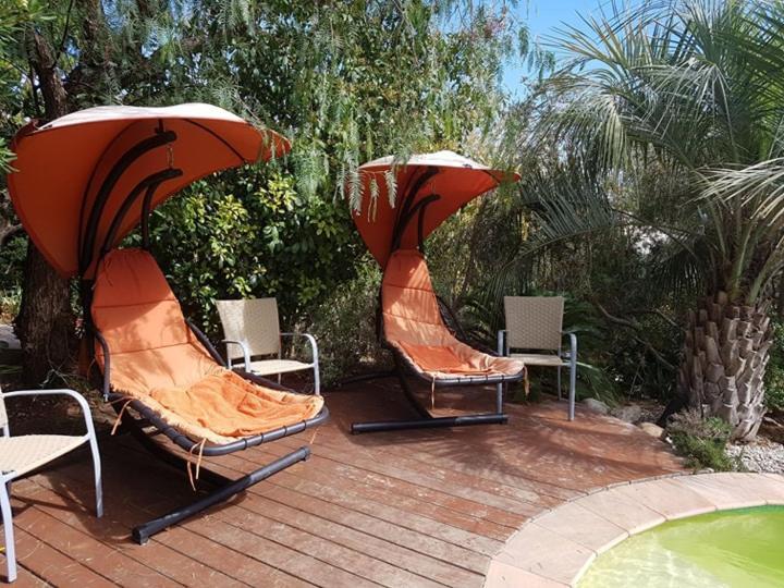 Les Palmiers Toulon Apartment Exterior foto